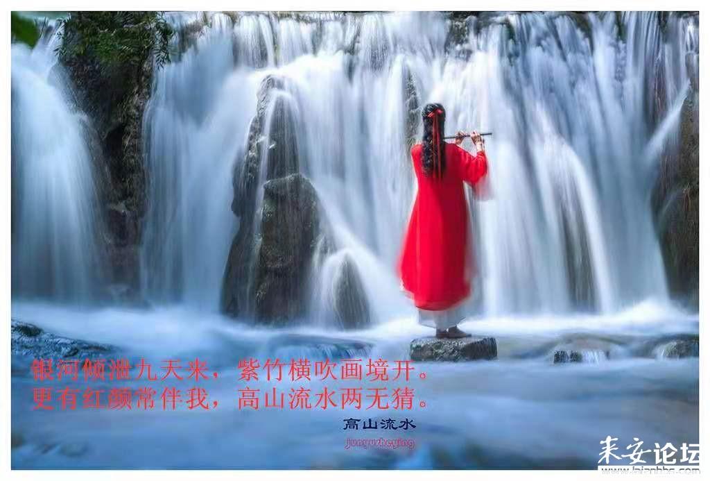 大花园植物逃生